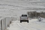 thumbnail: Pacemaker Press 08/12/2017
Battling threw the snow  on Divis Mountain in Co Antrim  , as heavy snow falls across  Northern Ireland on Friday morning, leaving difficult driving conditions for motorists and some schools closed.
Pic Colm Lenaghan/ Pacemaker