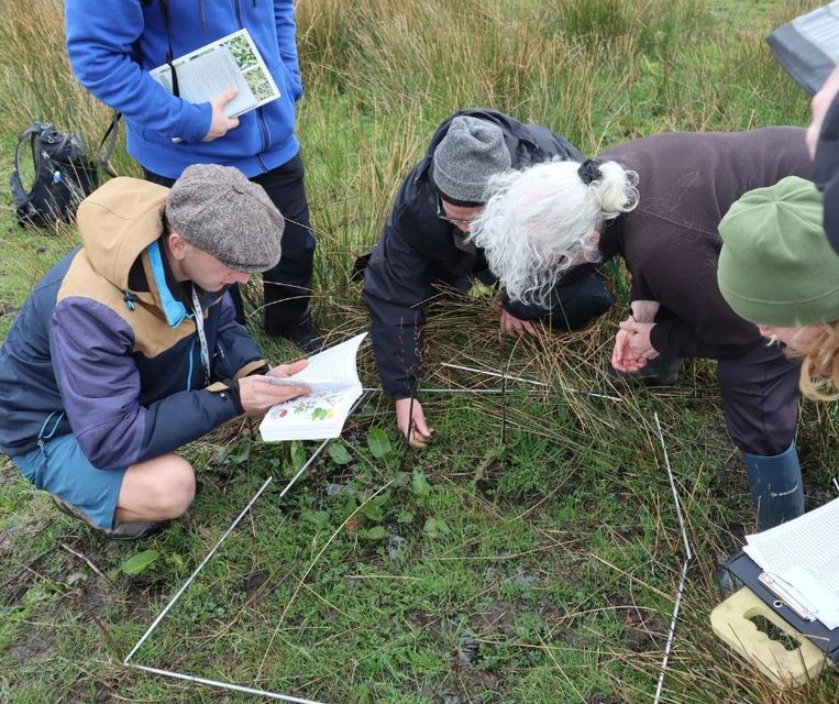 Surveys have been carried out across the Smithills Estate moorland ( Katie Thompson/Woodland Trust/PA)