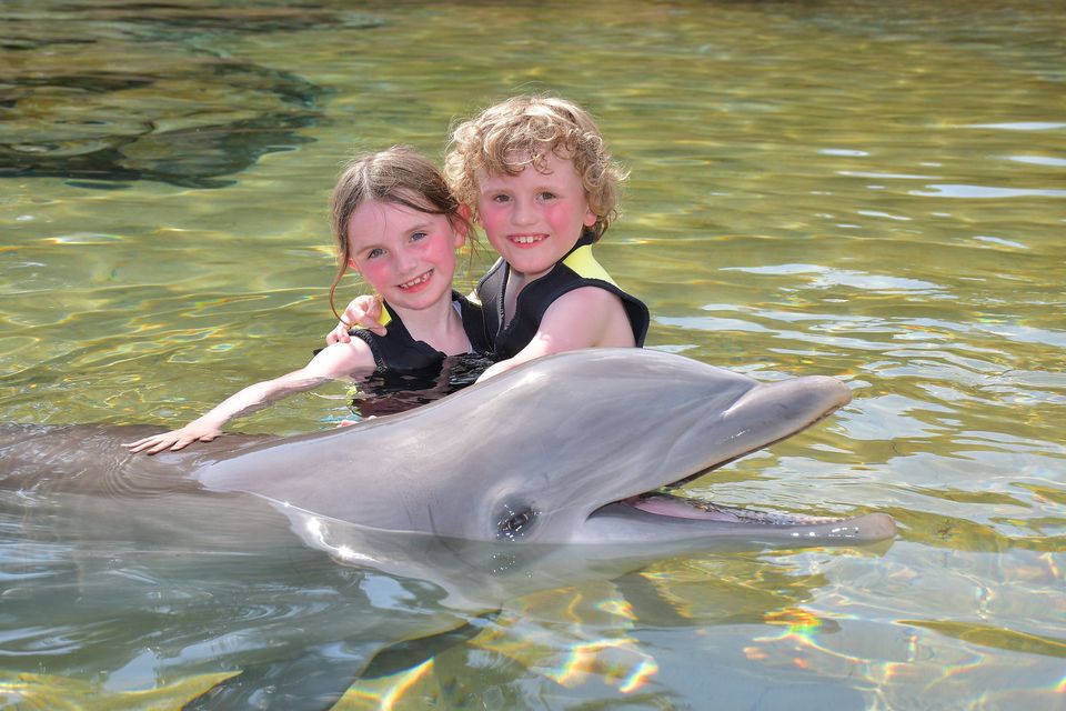 Mya and Jackson Ferguson swimming with a dolphin at Discovery Cove