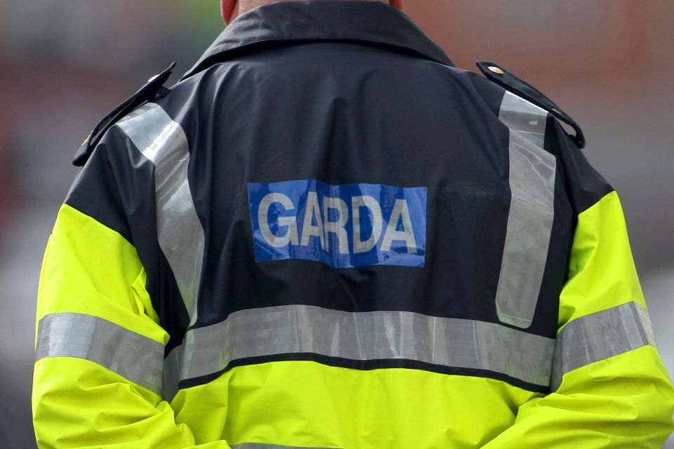 Gardai from the National Drugs and Organised Crime Bureau took part in the operation (Niall Carson/PA)