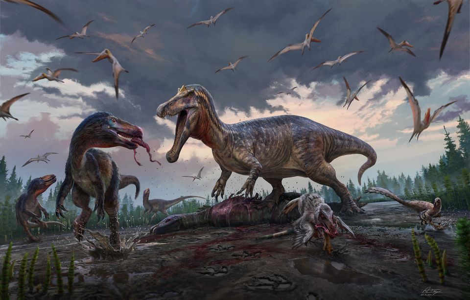 Groups of meat-eating dinosaurs stalked the East Sussex coast 135 million years ago (Anthony Hutchings)