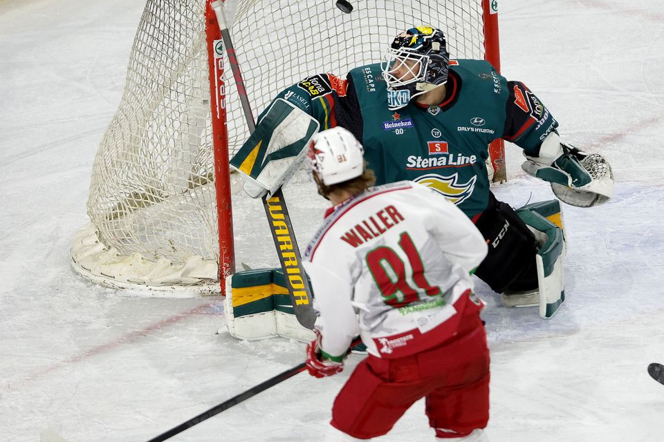 Home  Cardiff Devils