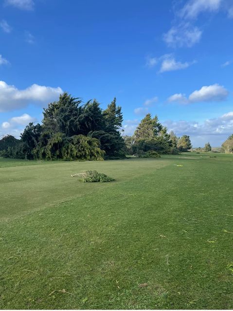 Downed trees at Bright Castle Golf Course