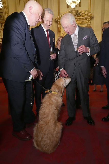 The King with Liberal Democrat MP Steve Darling and his guide dog Jennie (Aaron Chown/PA)