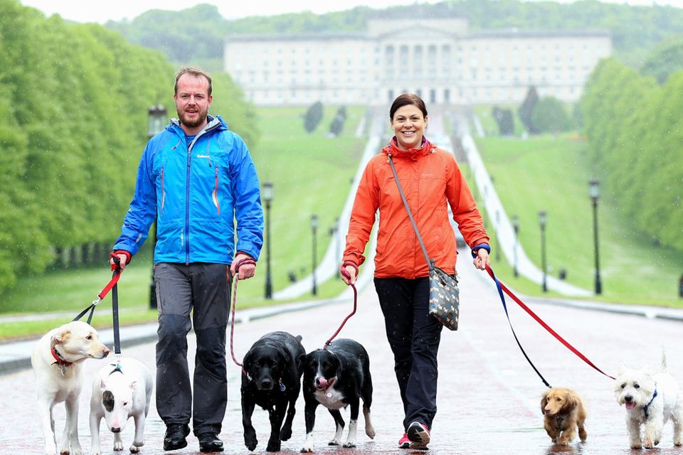  How Much Do Dog Walkers Make Uk 