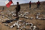 thumbnail: A man carries a Chilean flag during a small ceremony marking 60 days since 33 miners became trapped in Chile (AP)