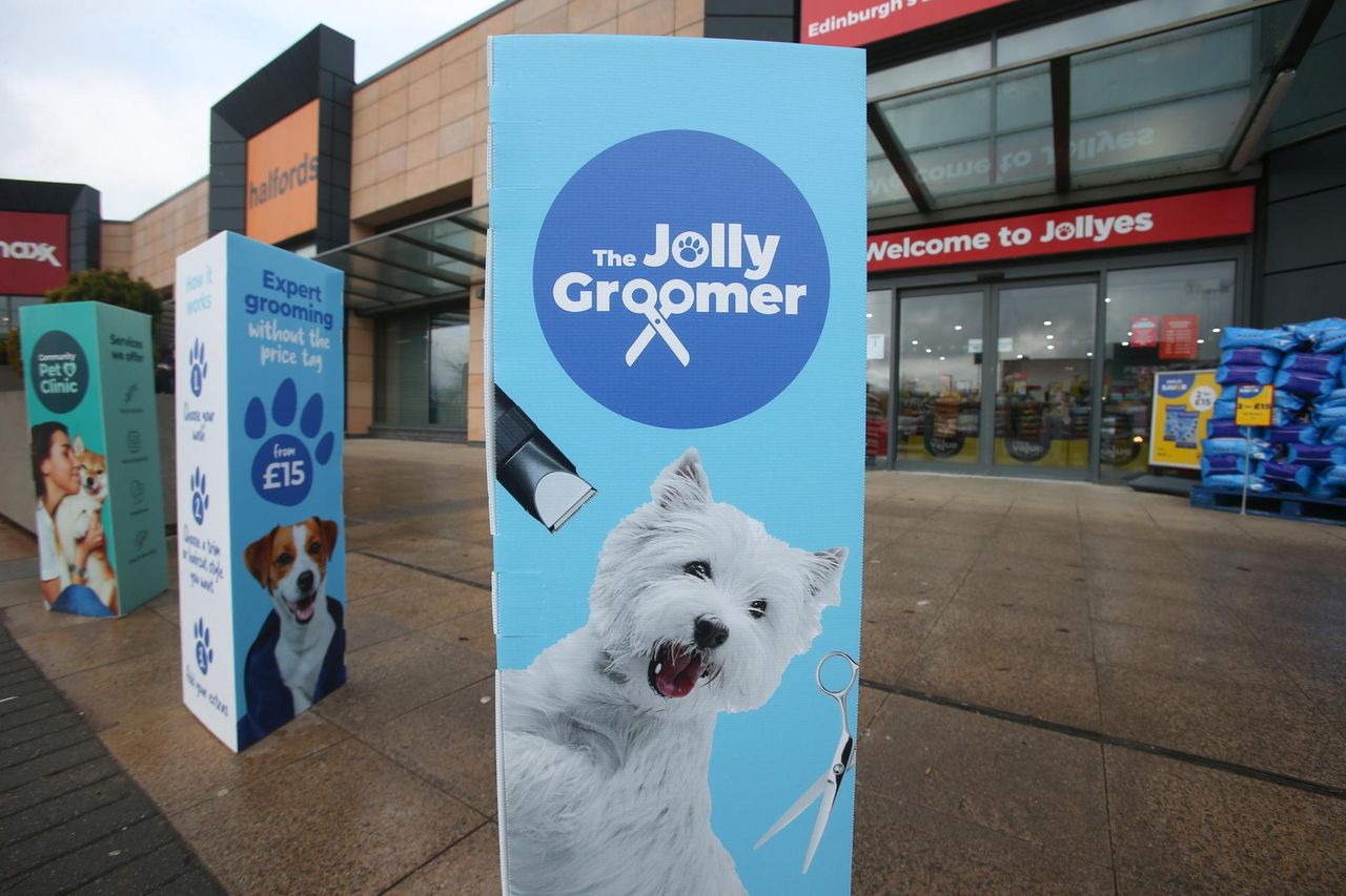 Pet Retailer Jollyes Sets Opening Date For New Boucher Road Store ...