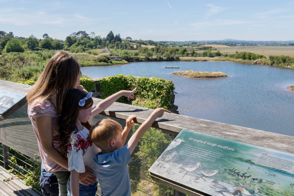 Spotting wildfowl on the shores of Strangford Lough. Courtesy of WWT Castle Espie