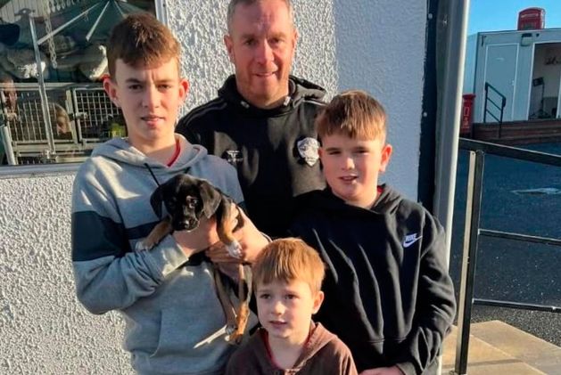 Puppy rescued from NI canal ‘full of life’ after finding forever home