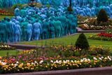 thumbnail: Naked volunteers, painted in blue to reflect the colours found in Marine paintings in Hull's Ferens Art Gallery, participate in US artist, Spencer Tunick's "Sea of Hull" installation in Queen's Gardens in Kingston upon Hull on July 9, 2016. AFP/Getty Images