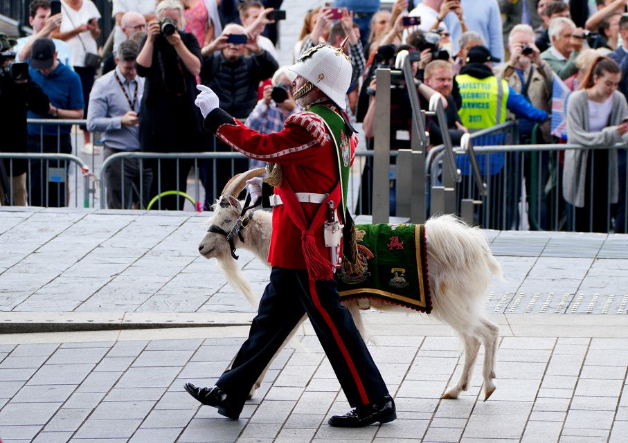 A member of the Royal Welsh Battalion leads a goat mascot outside the the Senedd in Cardiff as part of the anniversary celebrations in July (Ben Birchall/PA)