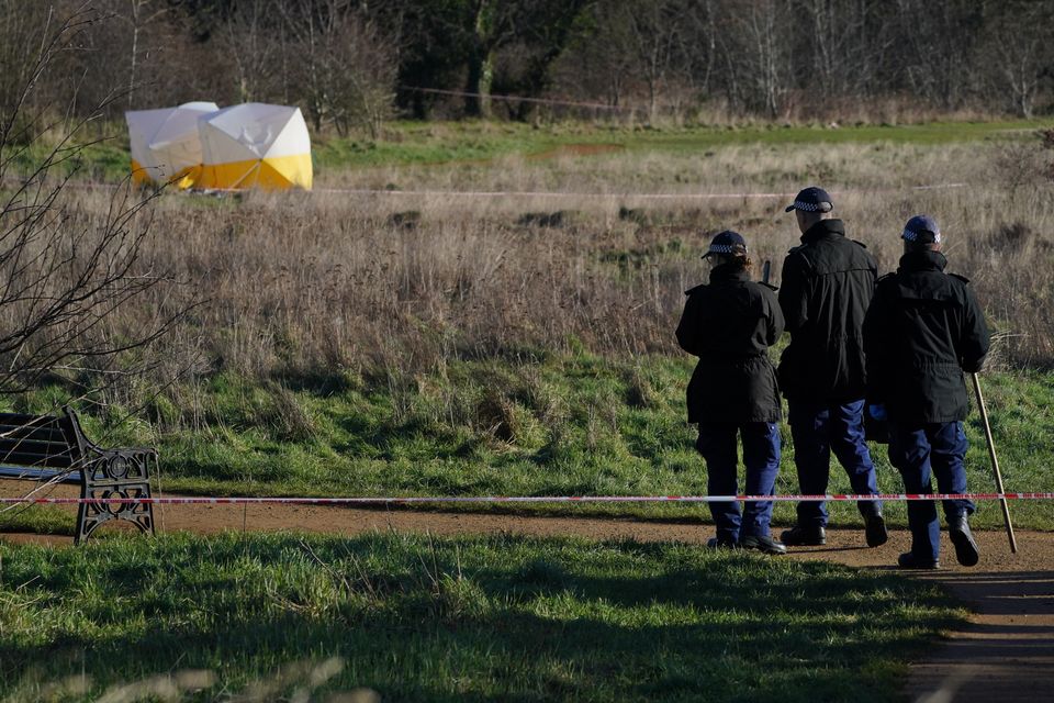 Forensic tents and a police search team at the scene at Hanworth Park (Jonathan Brady/PA)