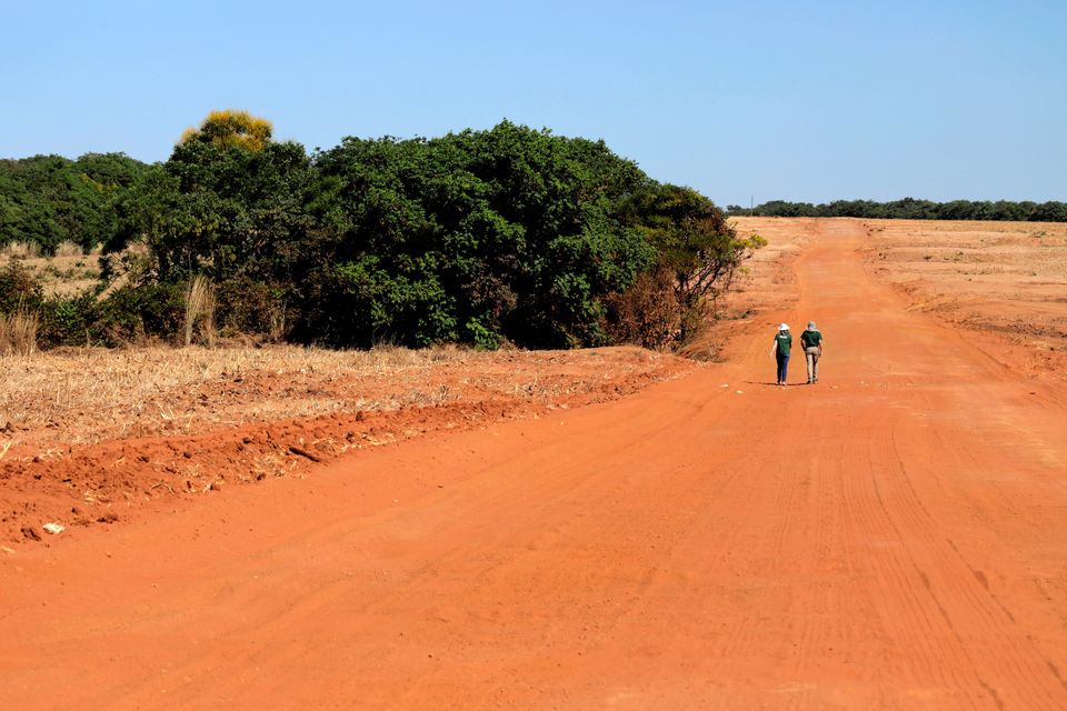 Scientists Ben Hur Marimon Junior and Beatriz Schwantes Marimon stand at the official border where the Amazon transitions to the Cerrado in Mato Grosso, Brazil (Suzie Hubbard/WWF-UK/PA)