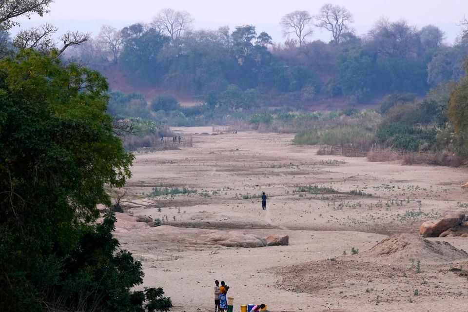 Women scoop water from holes dug in a dried-up riverbed in Lusitu, Zambia (Themba Hadebe/AP)