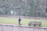 thumbnail: Snow begins to fall on the Stormont Estate in east Belfast. 
Picture by Jonathan Porter/Press Eye
