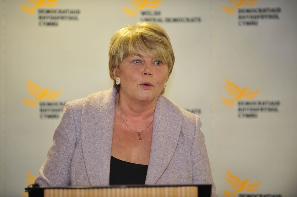 Baroness Randerson had a lengthy political career in Wales and Westminster for the Liberal Democrats (Ben Birchall/PA)