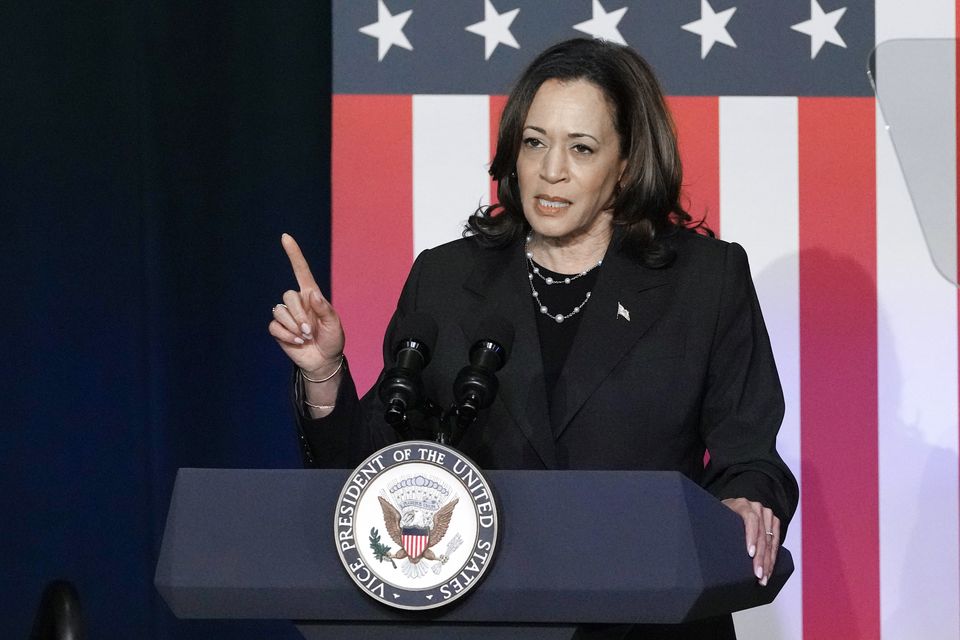 Many Democrats have called for Mr Biden’s vice president Kamala Harris to step forward (AP)