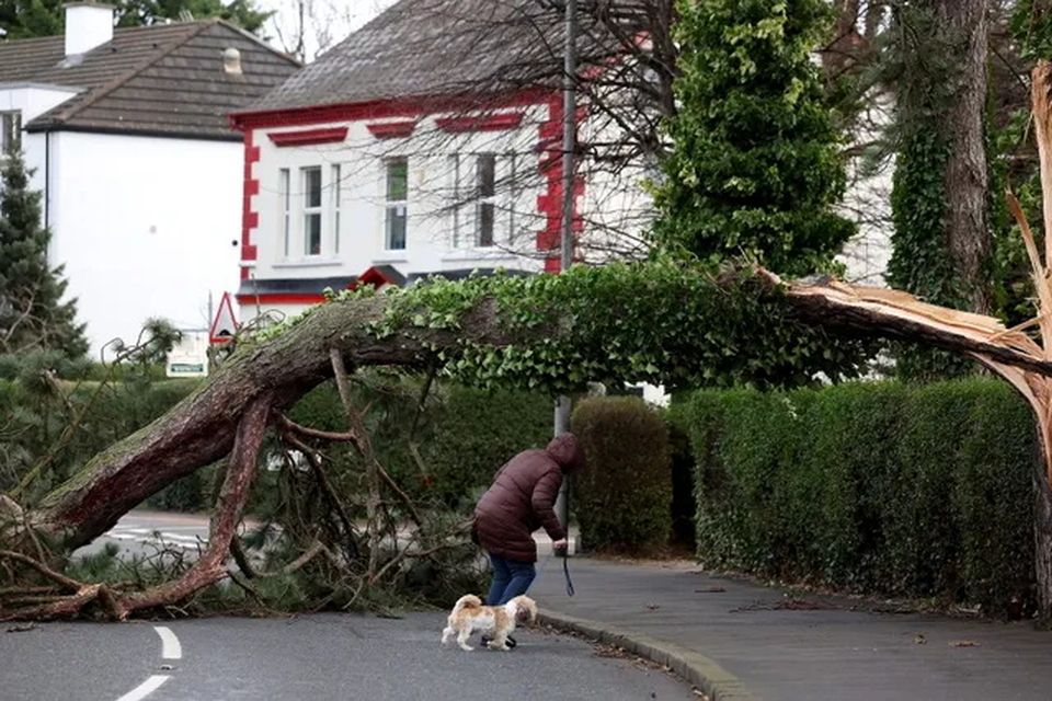 North Road, east Belfast. Jonathan Porter/PressEye