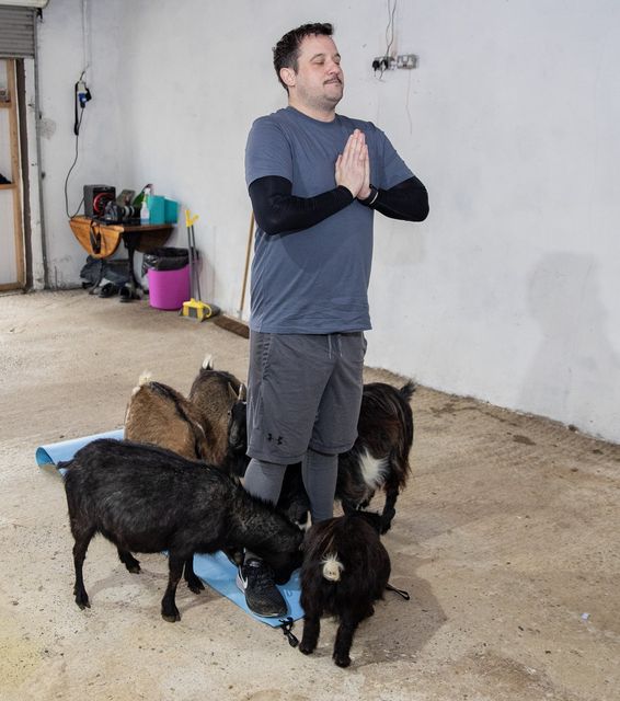 Goat yoga craze growing in popularity - Latest From ITV News