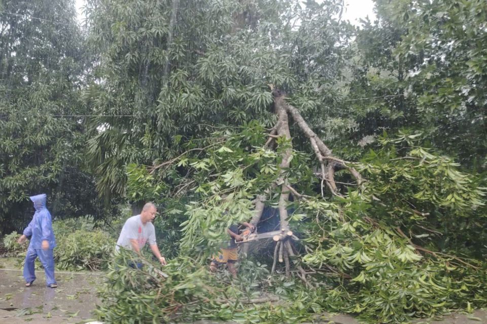 Workers clear a tree that fell due to strong winds from Typhoon Yinxing nin Lal-lo, Cagayan province, northern Philippines (LGU Lal-lo/AP)