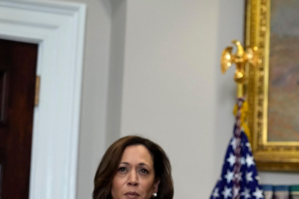 US President Joe Biden speaking in the Roosevelt Room of the White House as Vice President Kamala Harris listens (Susan Walsh/AP)