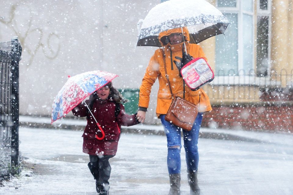 Northern Ireland schools announce closure for Wednesday January