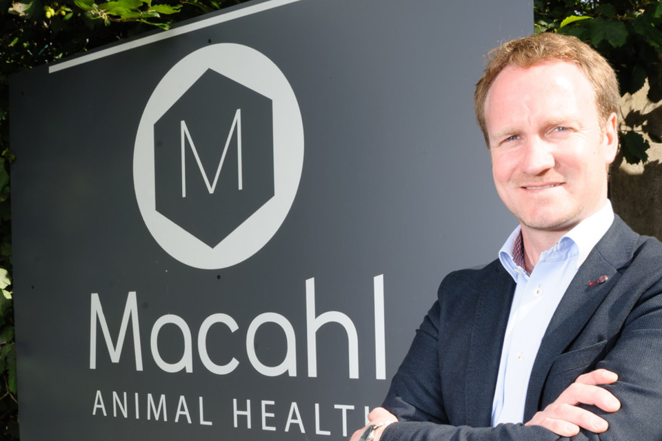 Tyrone animal health firm sets export sights on USA and Asia |  