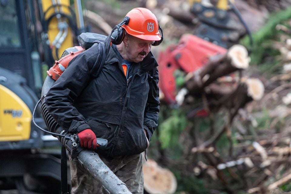 Contractors from Clive Richardson Ltd working on clearing Stoney Road after Storm Eowyn on January 27, 2025 (Credit: Luke Jervis / Belfast Telegraph)