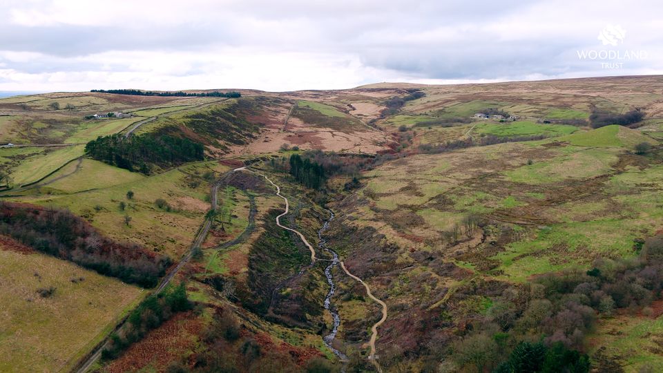 Plants have returned to Winter Hill but experts say the peat will take a long time to regenerate (James Reader/Woodland Trust/PA)