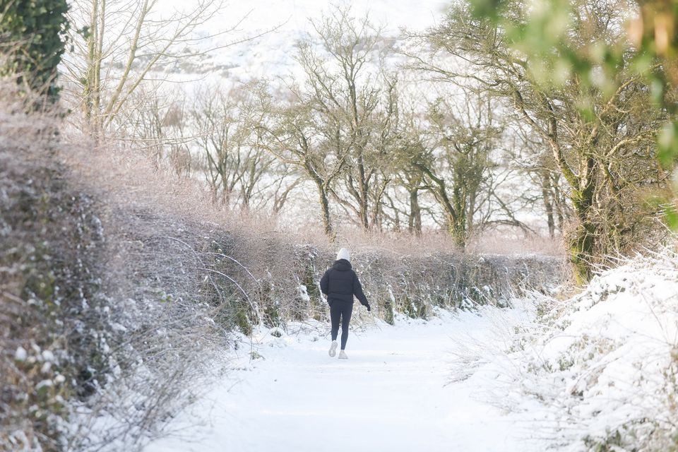 Snow conditions on the back of Cavehill.  Picture by Jonathan Porter/PressEye