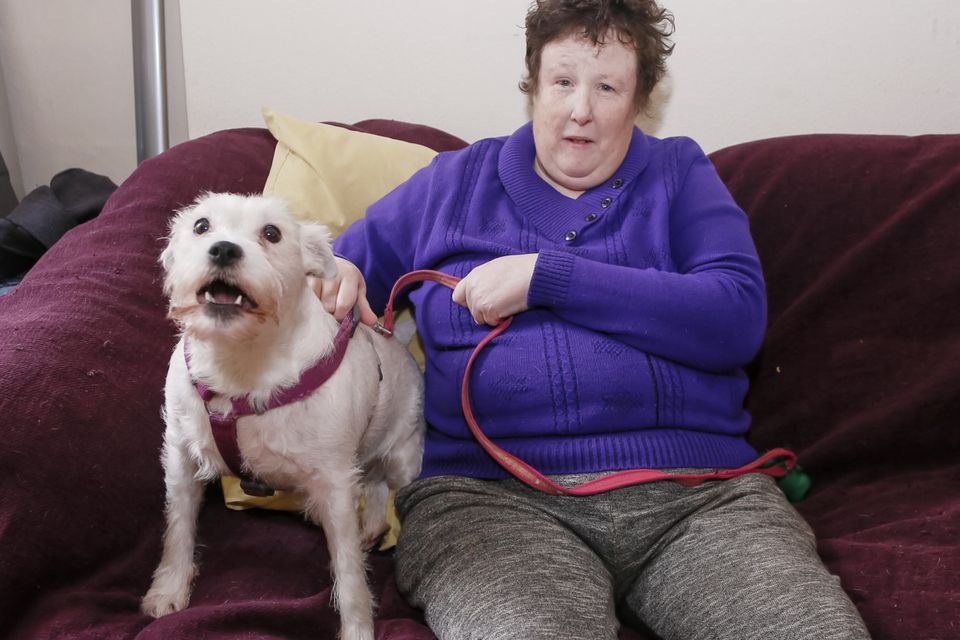 Tireless campaigner: Helen Madden with her dog Tiny