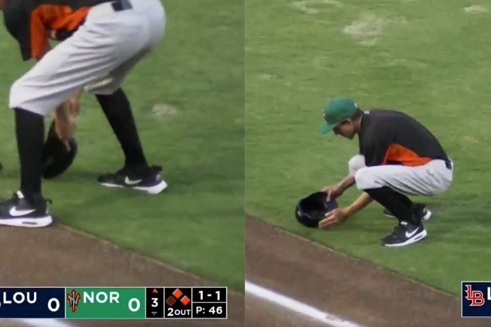 Watch two ducklings give ground staff the runaround at a baseball