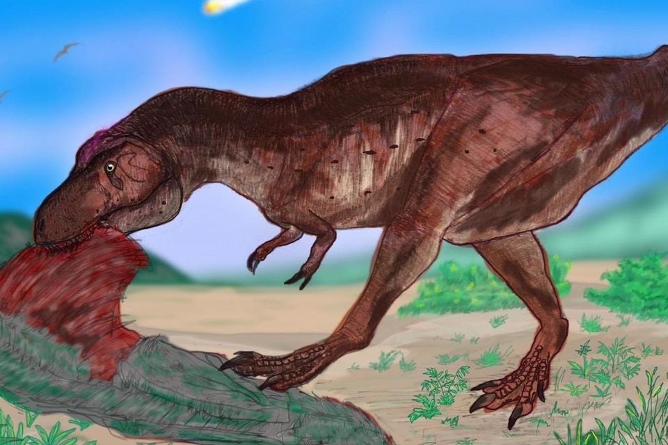 Scientists say dinosaurs were already disappearing before giant