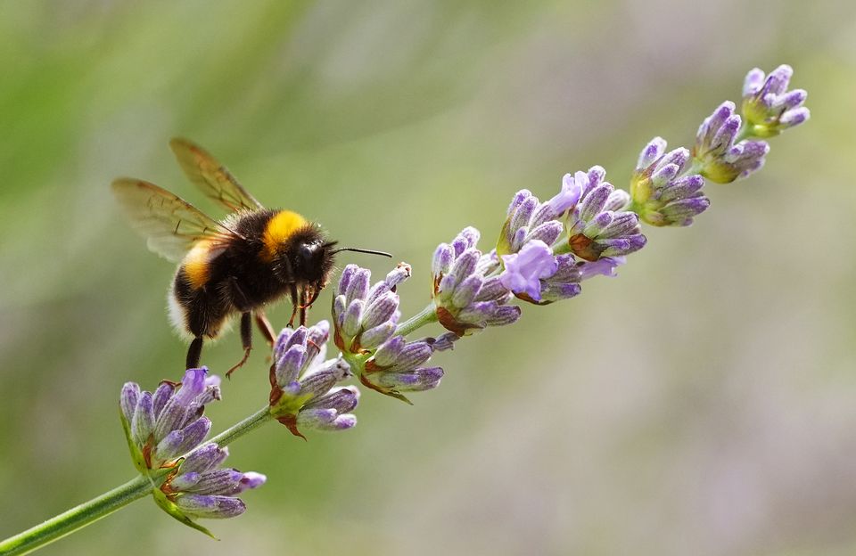 Temperatures could hit the high twenties (Brian Lawless/PA)