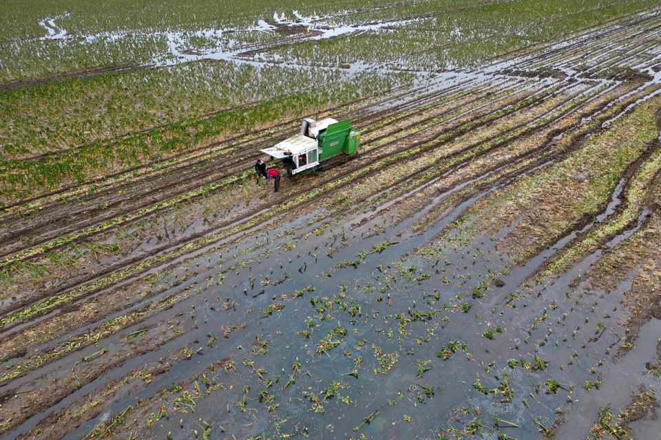 Climate change is putting food security at risk due to extreme weather (Joe Giddens/PA)