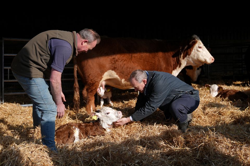 Liberal Democrats leader Sir Ed Davey with farmer Chris Blaxell (left) during a visit to White Lodge Farm, near North Walsham, Norfolk (Joe Giddens/PA)