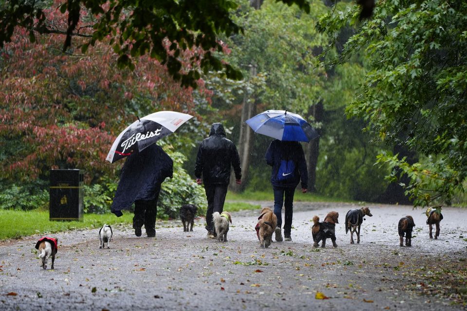 The heavy rain was not enough to deter people from taking their dogs for a walk in Sefton Park, Liverpool (Peter Byrne/PA)