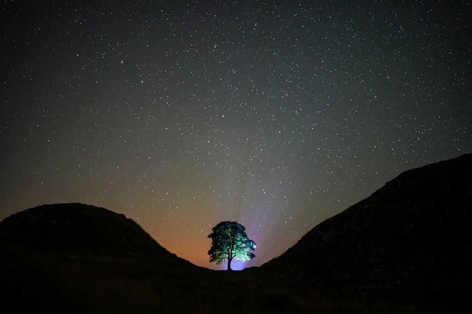 A clear night under the Milky Way at Sycamore Gap (Owen Humphreys/PA)