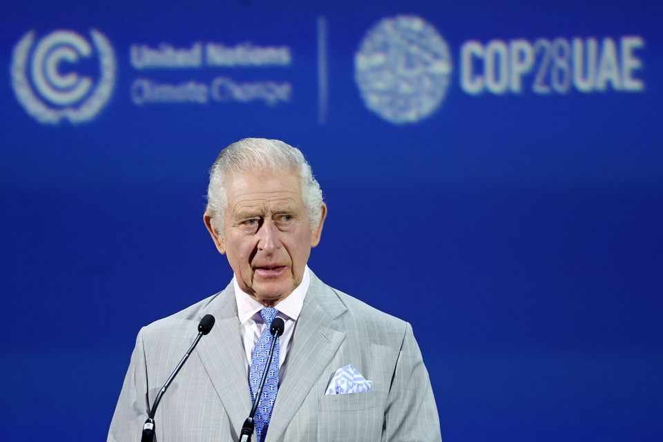 The King addressed the Cop28 summit in Dubai last year (Chris Jackson/PA)