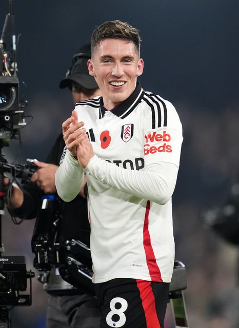 Harry Wilson was Fulham’s matchwinner (PA)