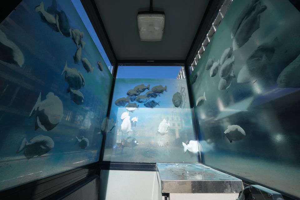 The design of swimming fish appeared on a police box in the City of London (Yui Mok/PA)