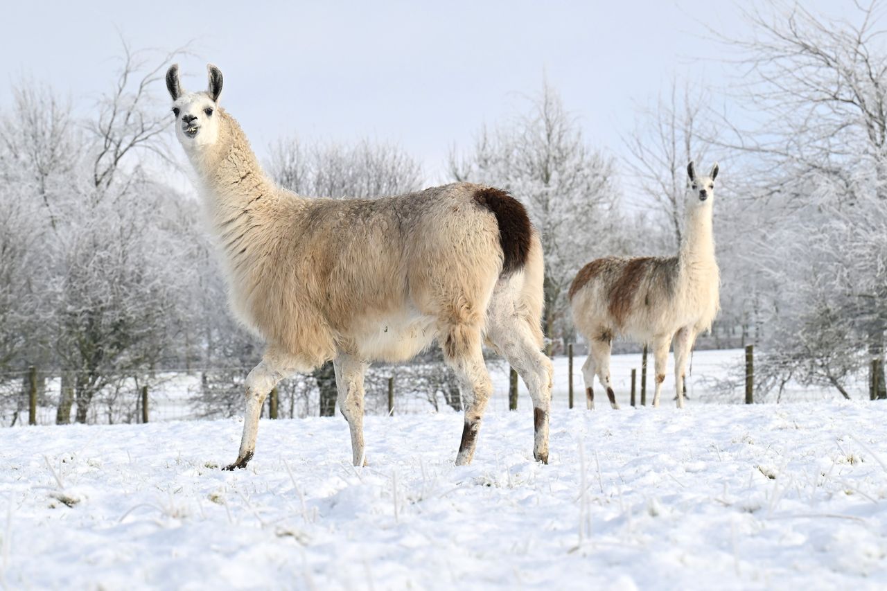 Northern Ireland Weather: Met Office Forecasts End To Freezing 