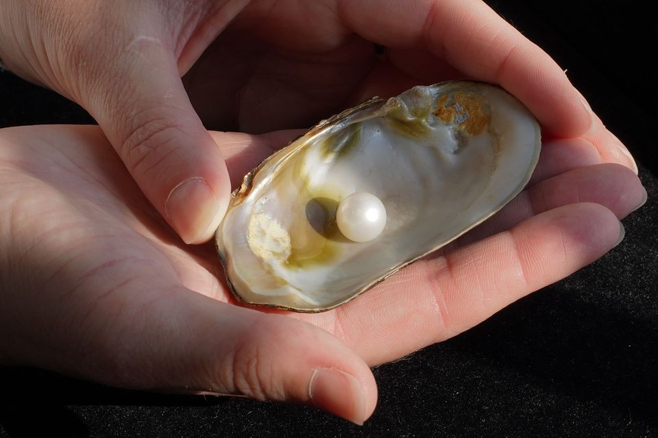 The Abernethy Pearl is expected to fetch between £40,000 and £60,000 (Lyon and Turnbull/Stewart Attwood/PA)