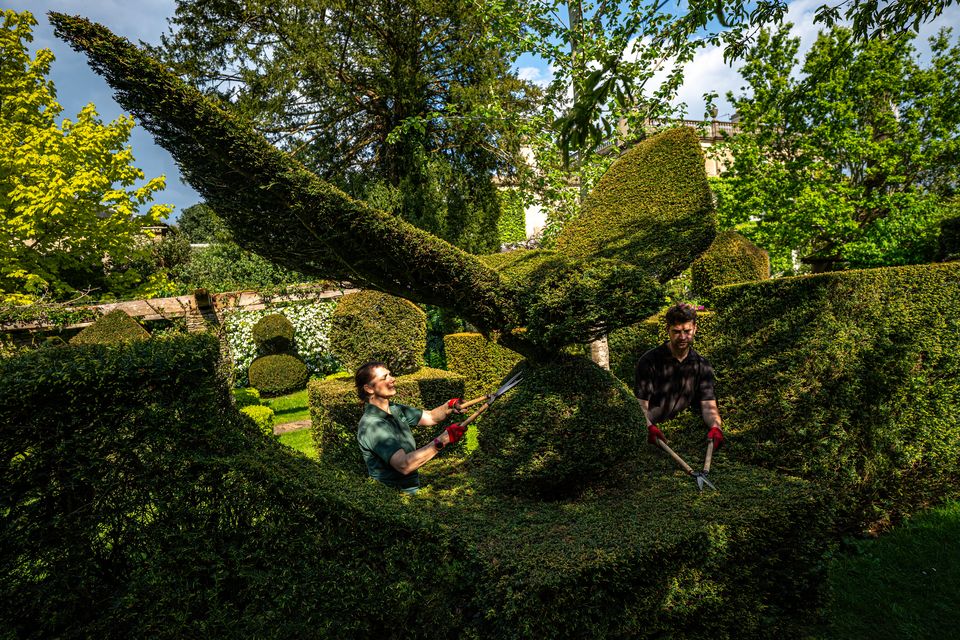 Two gardeners trim a bush (Ben Birchall/PA)