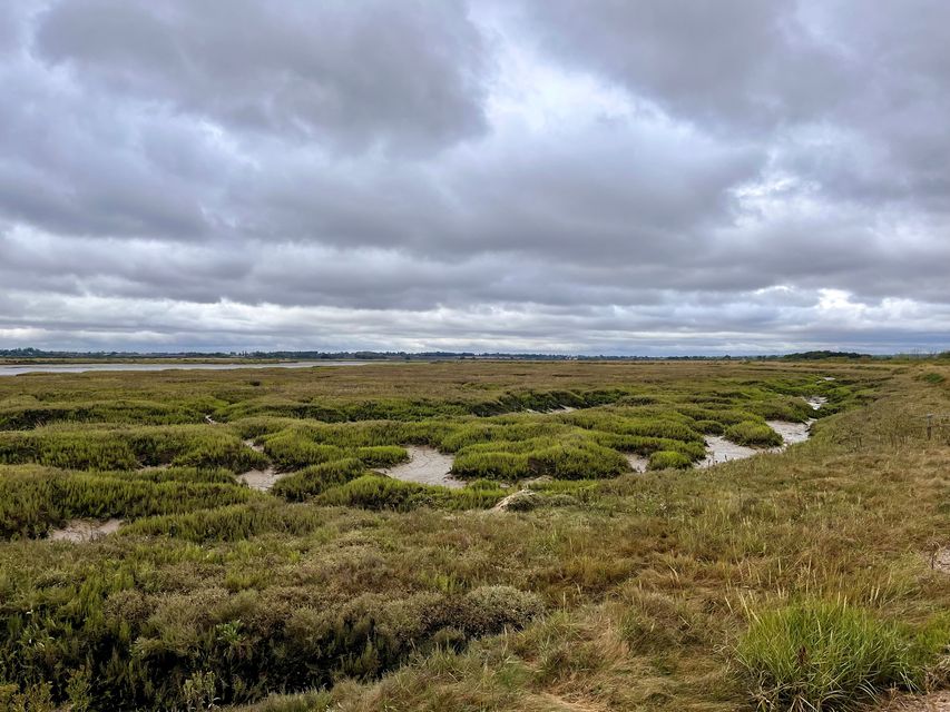 Saltmarsh is ‘one of our last wilderness habitats’ in the UK (Emily Beament/PA)