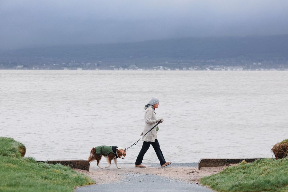 A person walks a dog at Sea Park, County Down in windy weather. Photo Matt McKee/PressEye