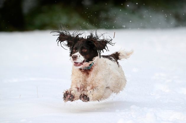 Travel caution as weather warning for snow and ice in force across NI