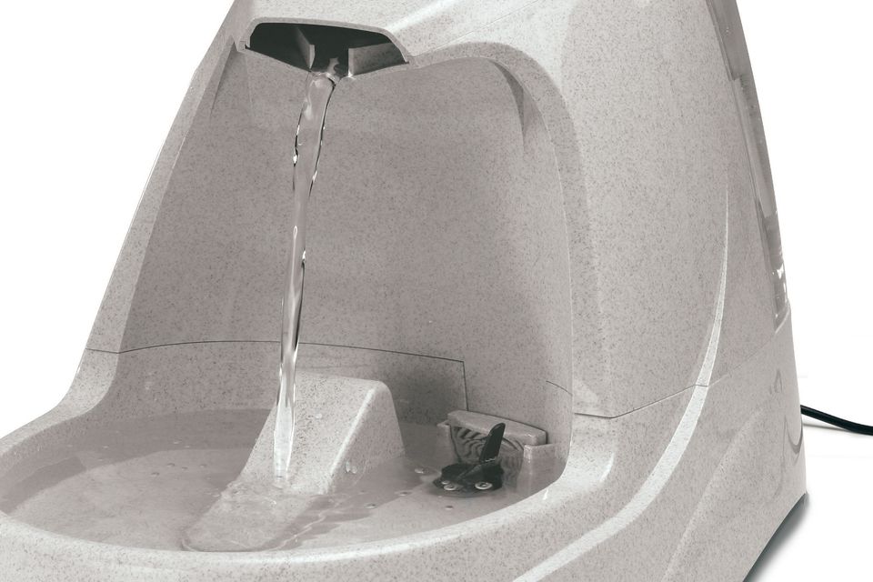 Argos pet outlet water fountain