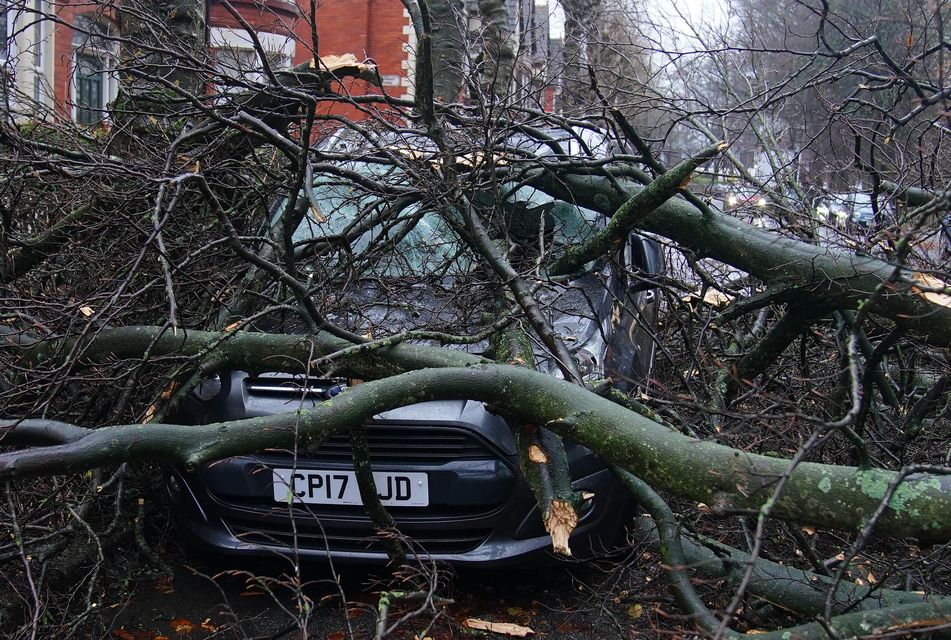 Part of a fallen tree which landed on a car in Greenbank Road, Liverpool (Peter Byrne/PA)