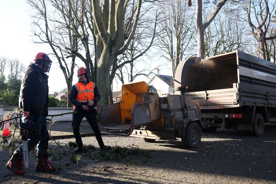 Cleaning up by contractors on Cyprus Avenue in east Belfast. Picture by Jonathan Porter/PressEye